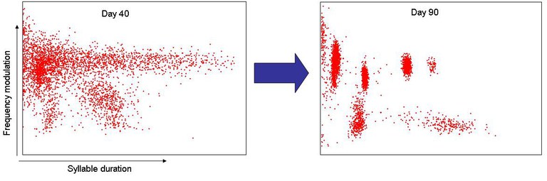 clusters.jpg
