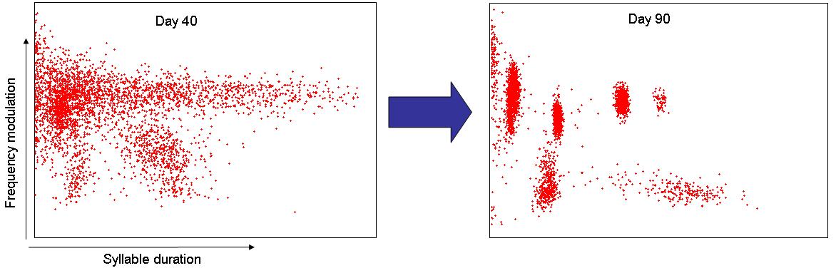 clusters.jpg